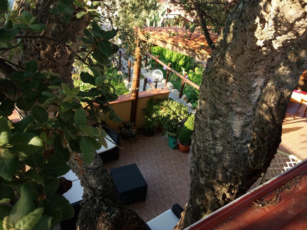 S'Arriali Ranch Guest House Iglesias Eksteriør bilde