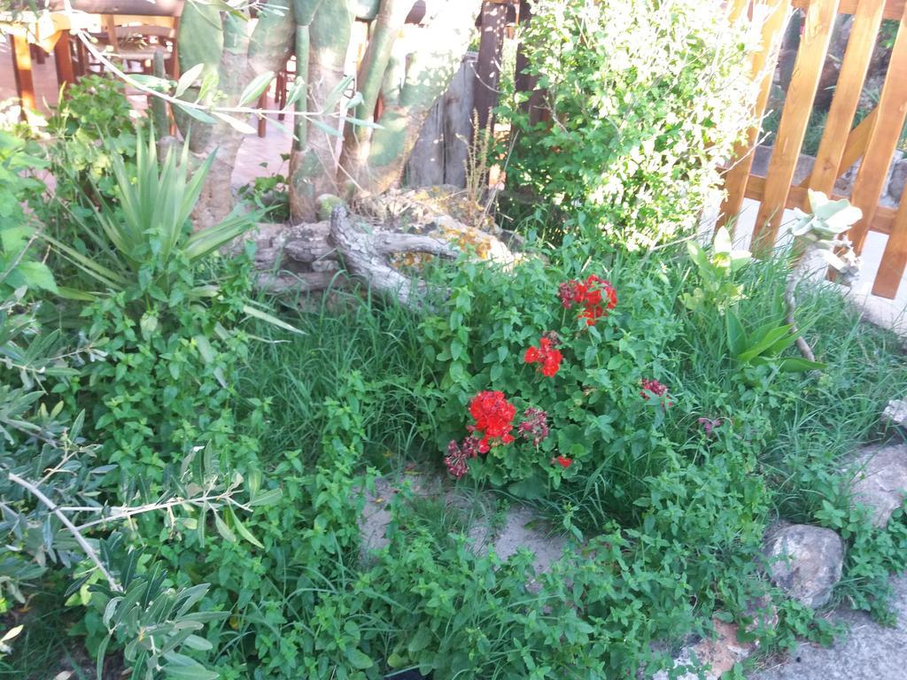 S'Arriali Ranch Guest House Iglesias Eksteriør bilde